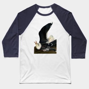 Audubon's Great black-backed Gull Baseball T-Shirt